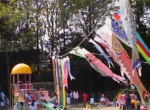 photo koinobori no.2