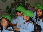 pub0114.jpg