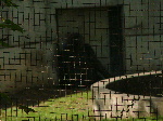 pub0116.jpg